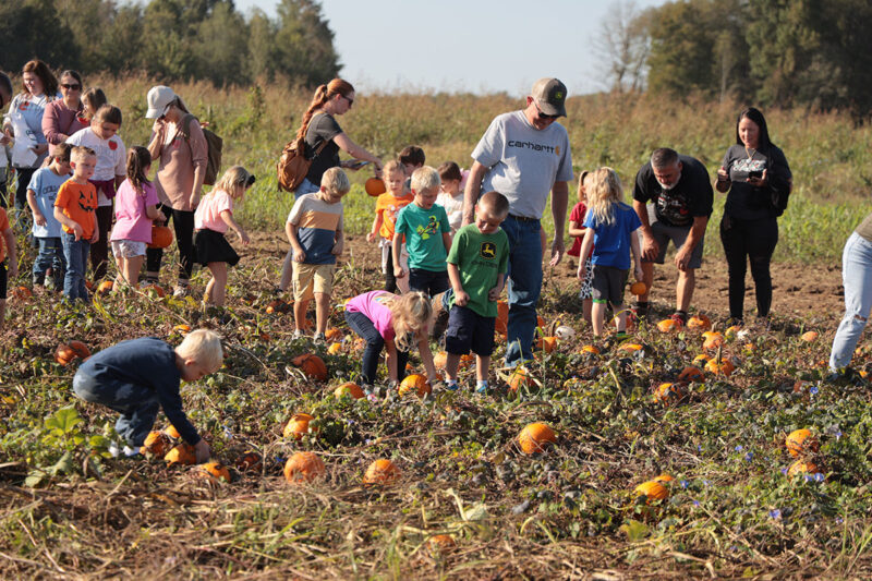 Farm Experiences